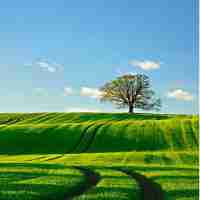 接﻿口​测‌试​开﻿源‌项​目‌是﻿什‌么‌